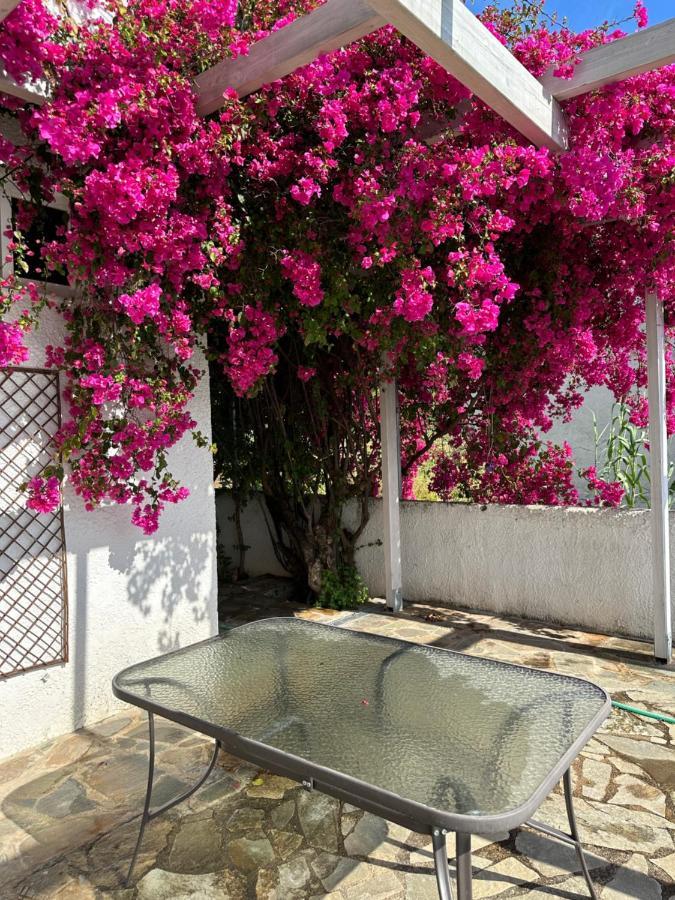 Villa Pinelopi Kalamata Exteriér fotografie