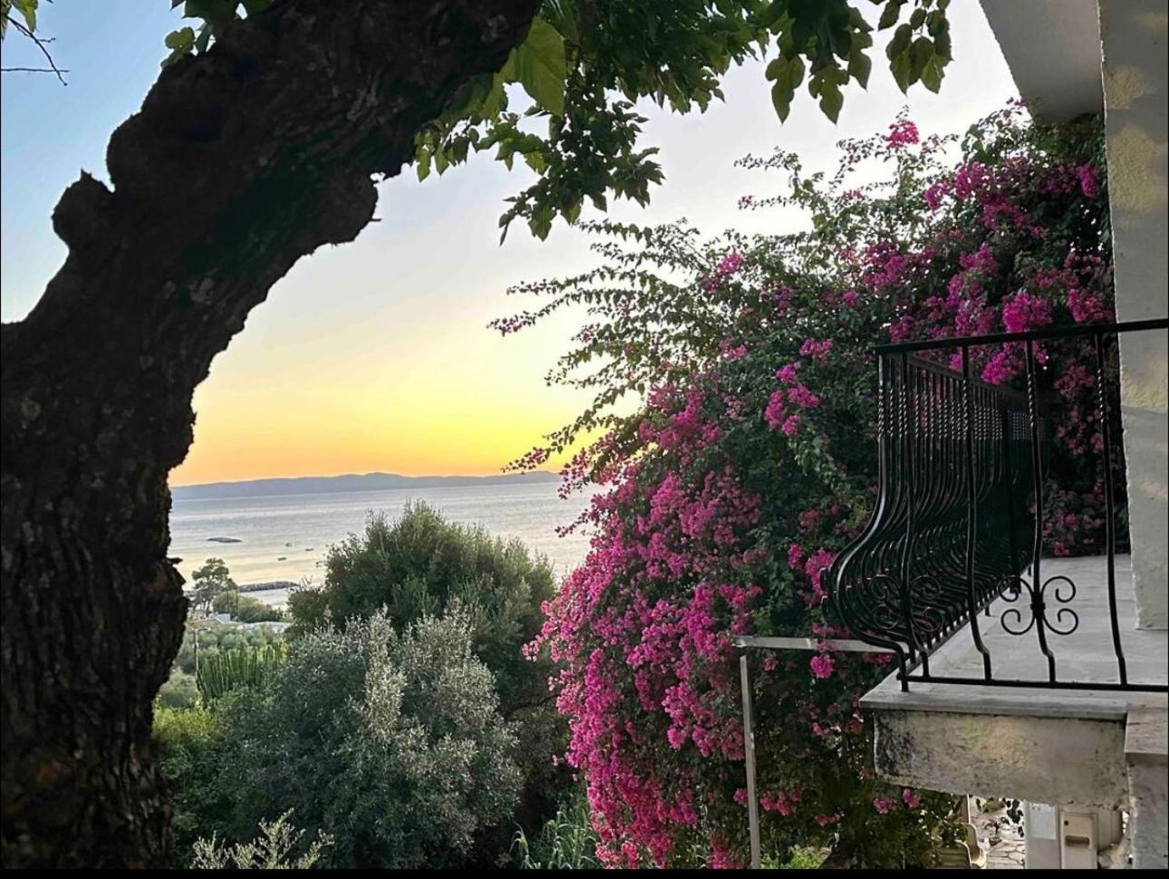 Villa Pinelopi Kalamata Exteriér fotografie